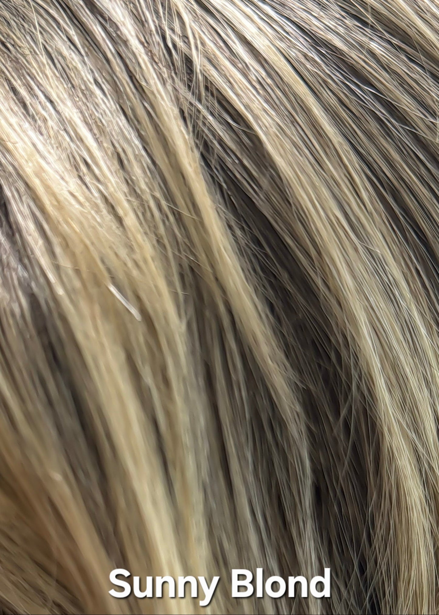 Sunny Blond by Aderans
