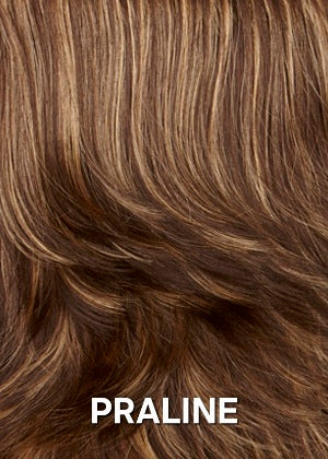 PRALINE dark brown w golden blonde highlights