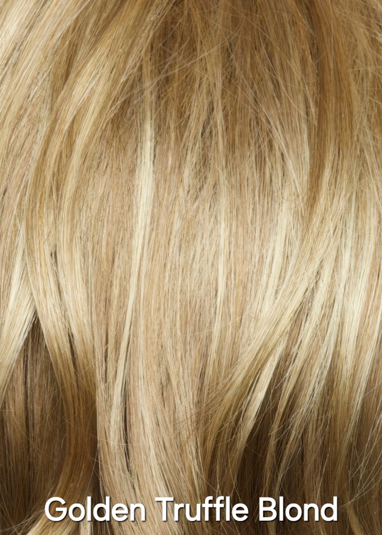 Golden Truffle Blond by Aderans