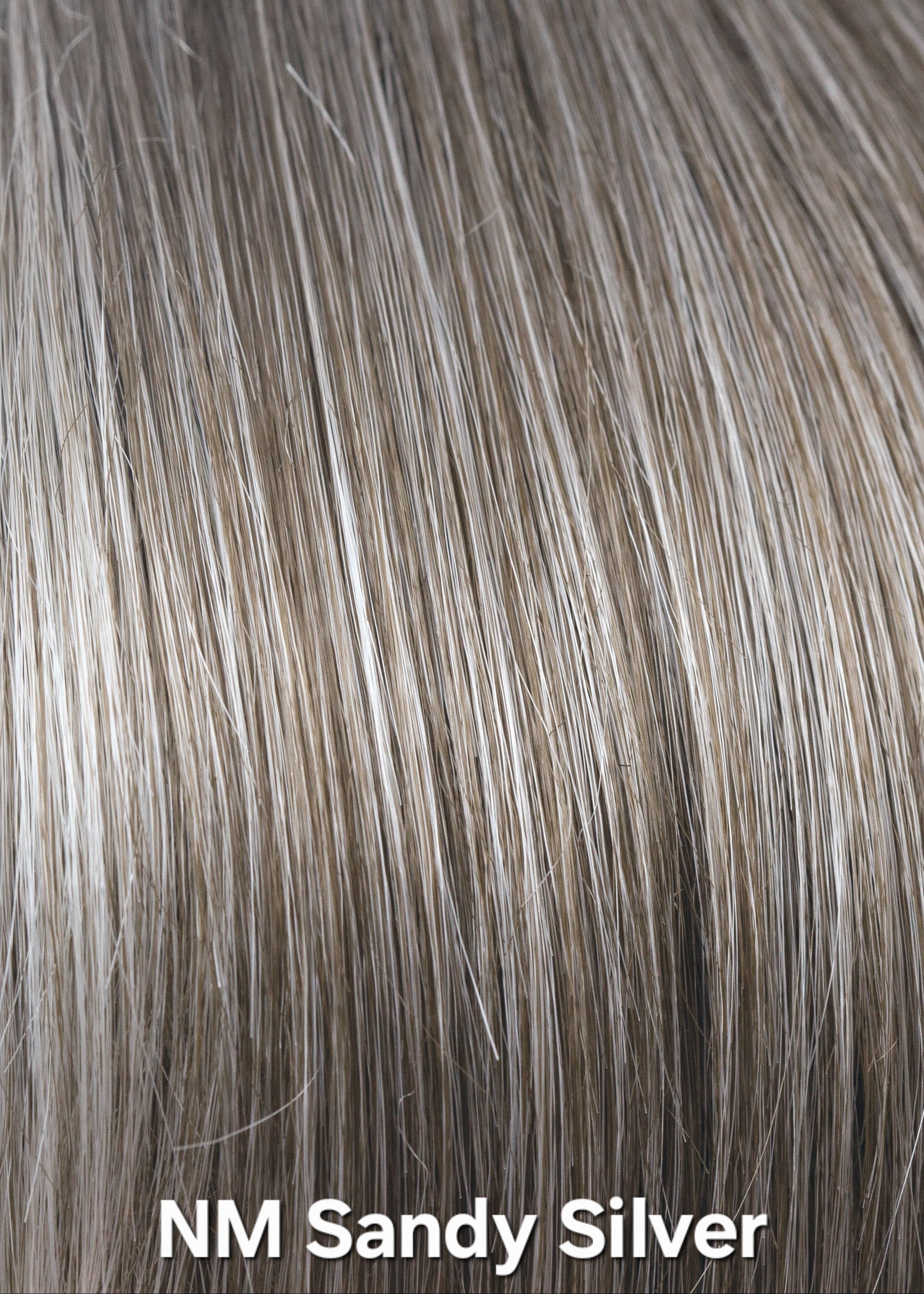 NM Sandy Silver by Aderans