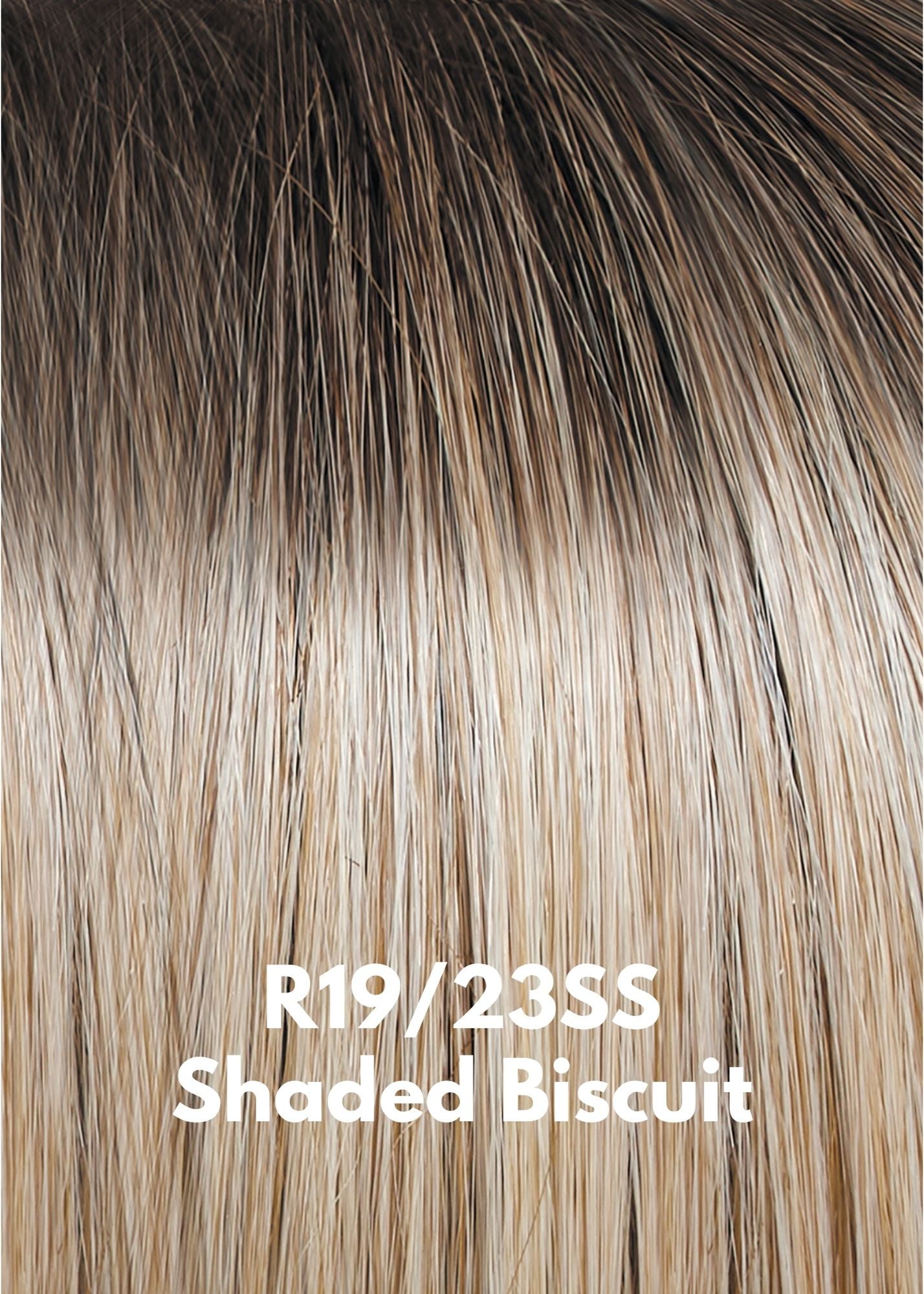 R19/23SS Shaded Biscuit by Hairdo
