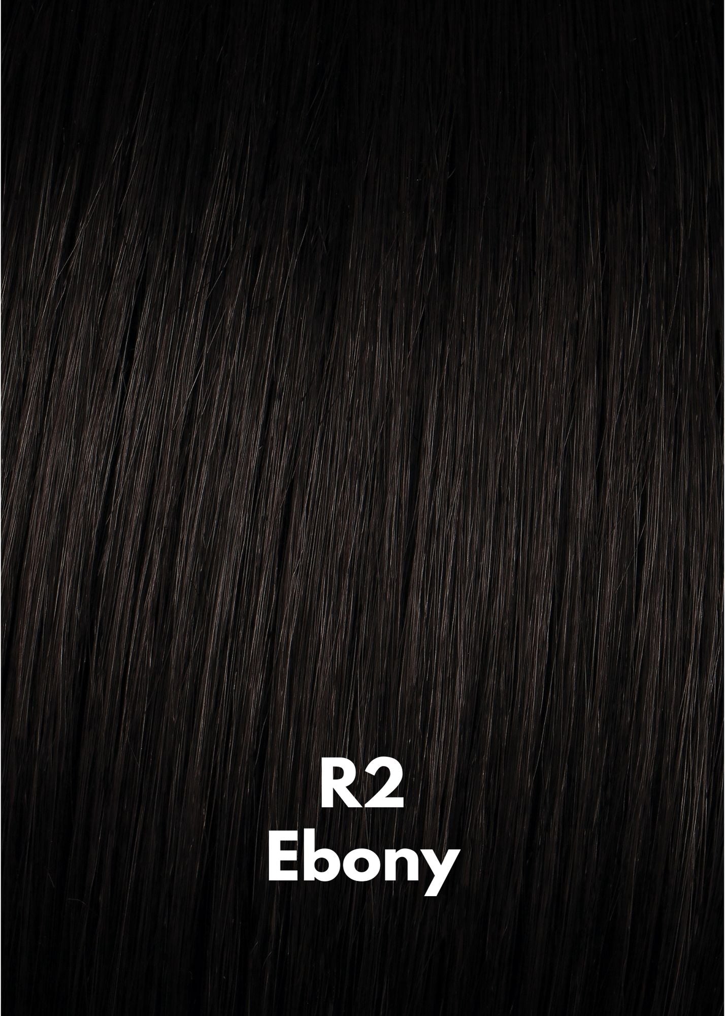 R2 Ebony by Hairdo