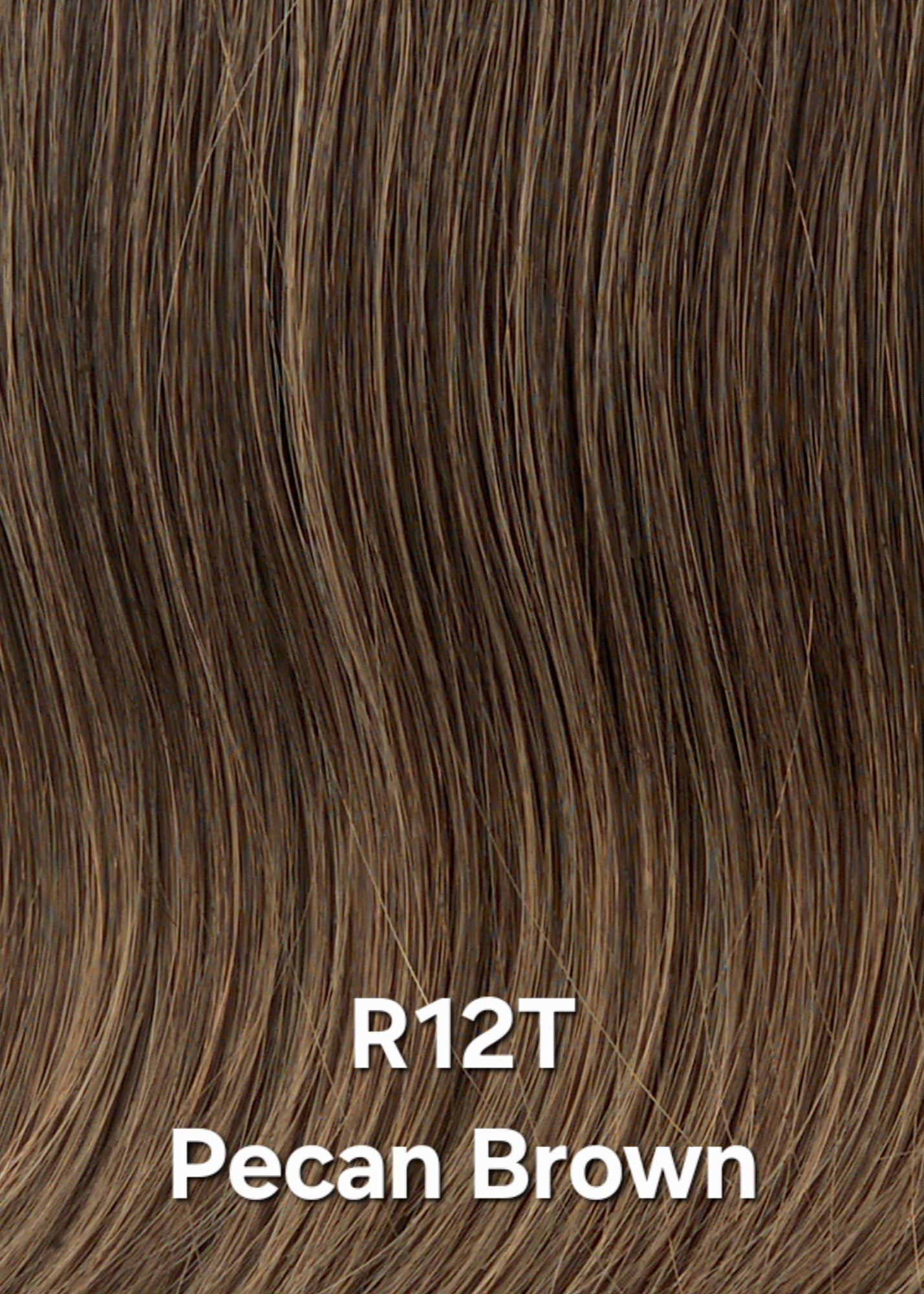 R12T Pecan Brown KIDZ by Hairdo