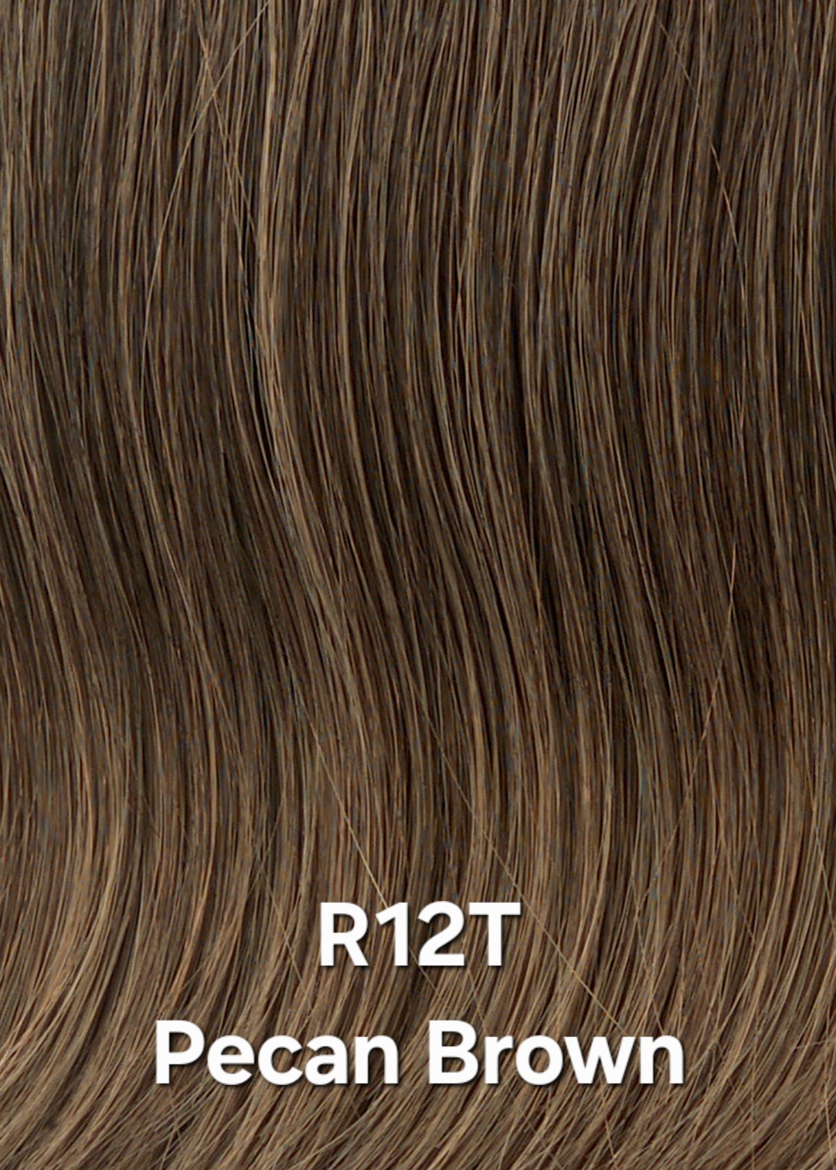 R12T Pecan Brown KIDZ by Hairdo