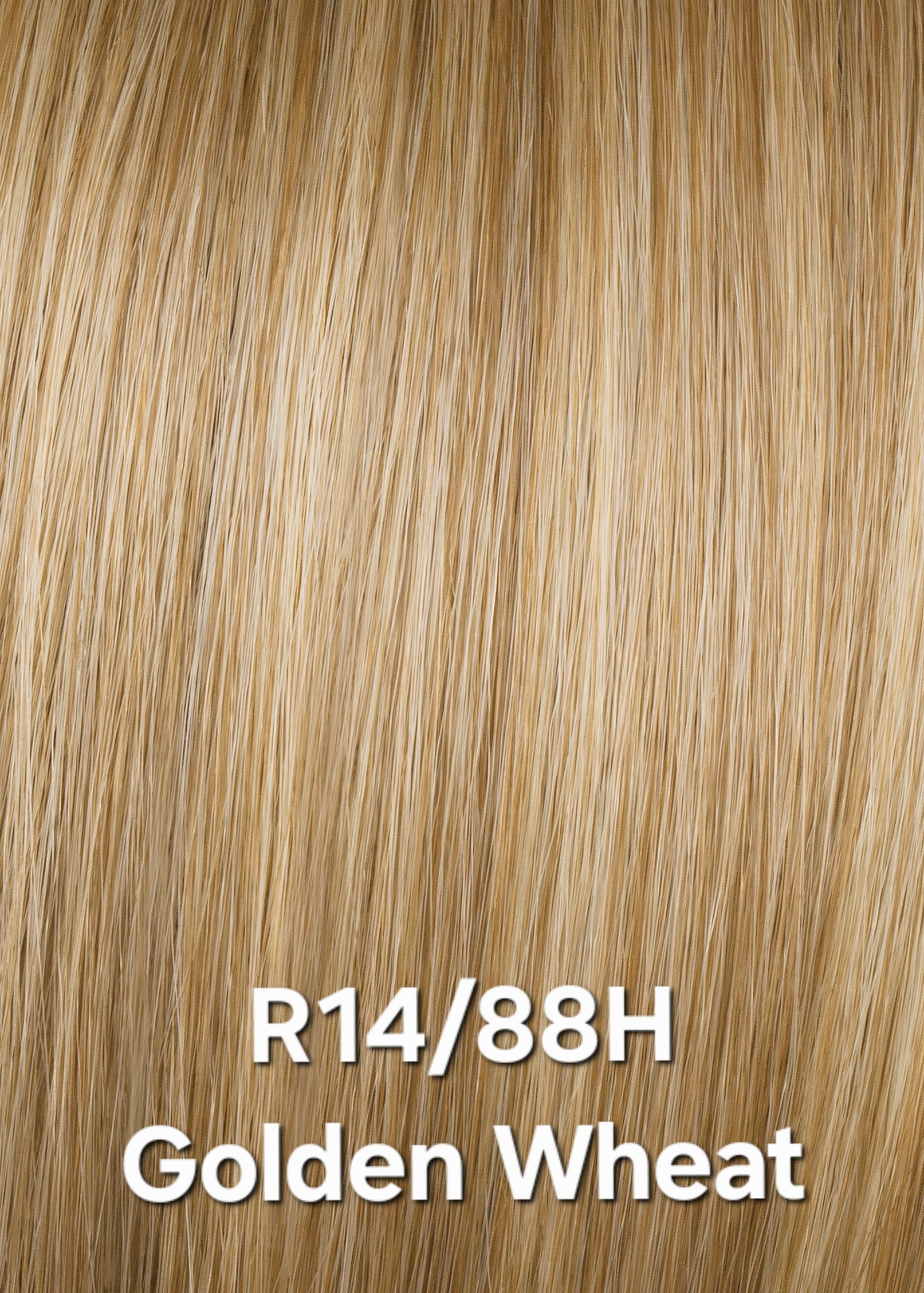 R14/88H Golden Wheat KIDZ by Hairdo