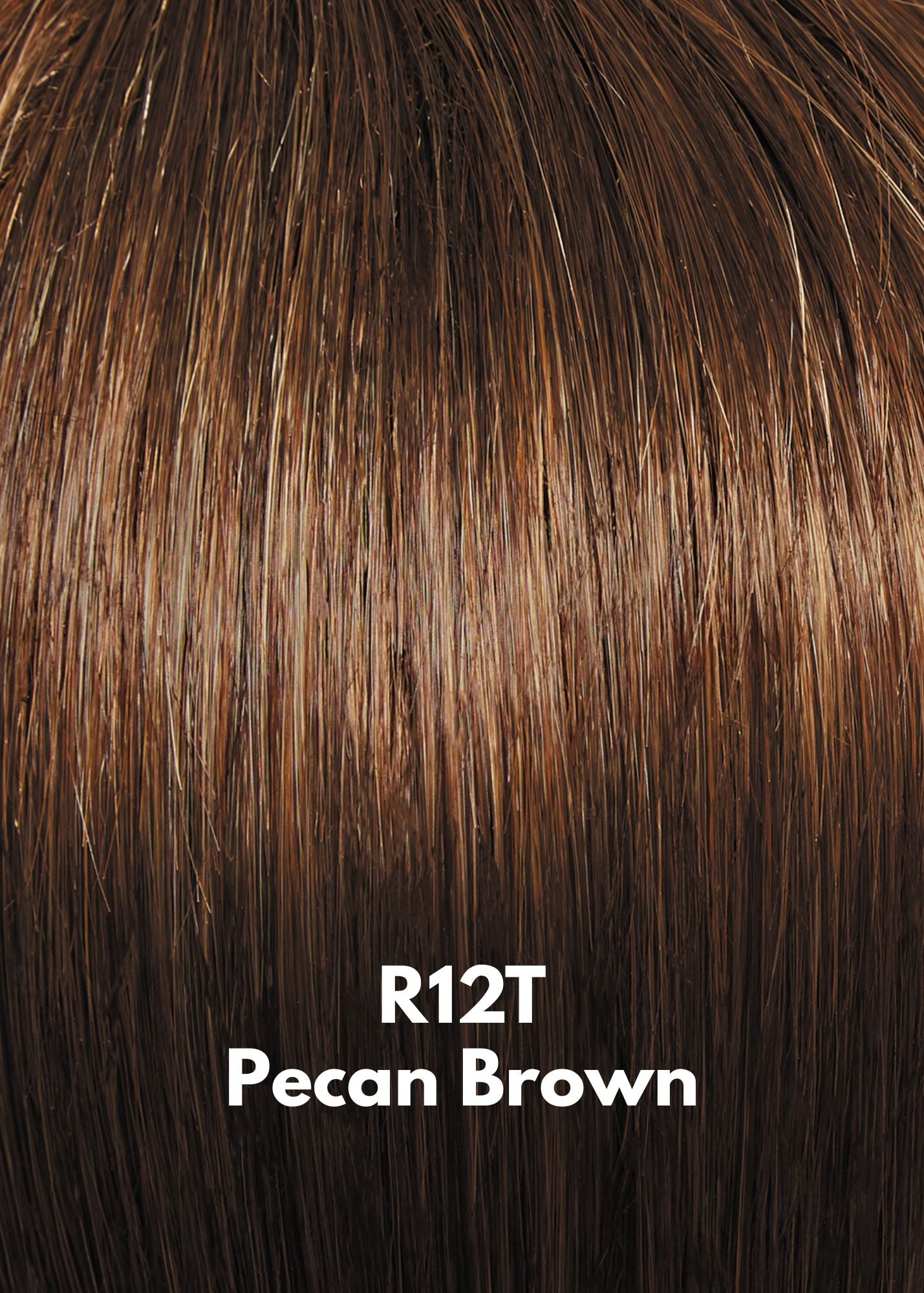 R12T Pecan Brown Raquel Welch color